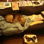 A dog lies on a blue rug on a dark sofa, surrounded by various abstract art pieces spread on the cushions and nearby surfaces.