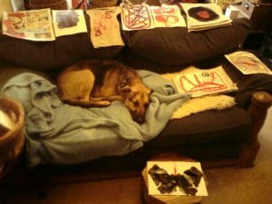A dog lies on a blue rug on a dark sofa, surrounded by various abstract art pieces spread on the cushions and nearby surfaces.