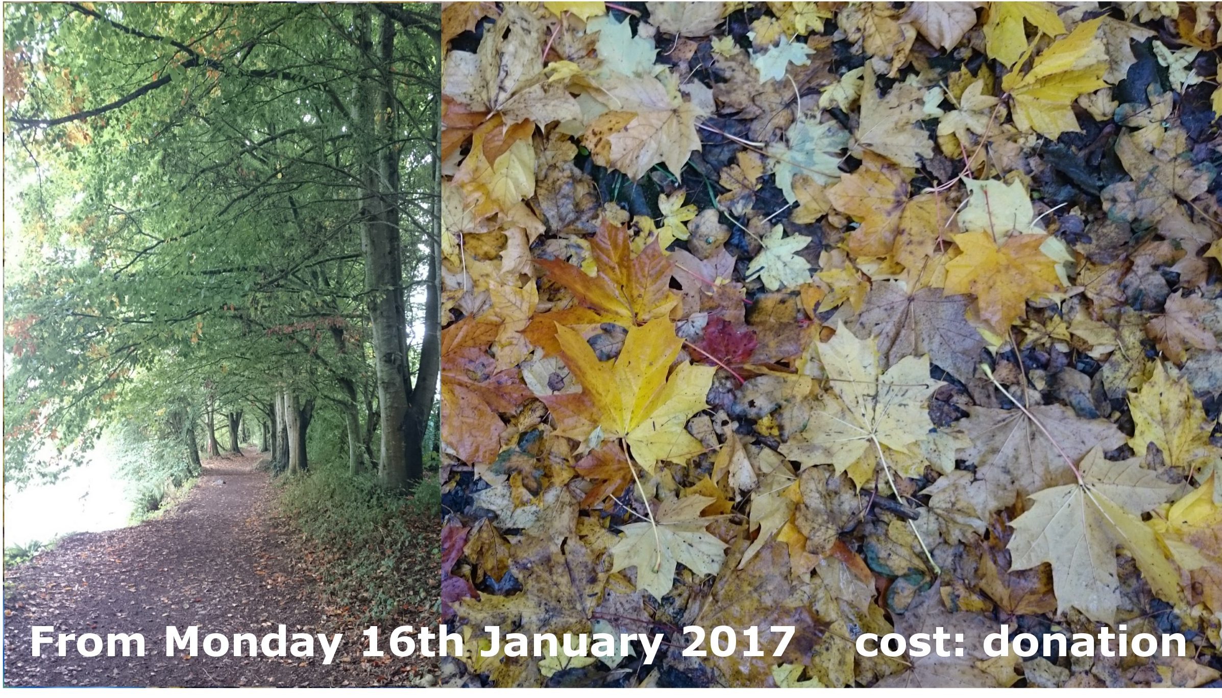 Split image: left shows a tree-lined path, right shows a close-up of fallen autumn leaves. Text reads "From Monday 16 January 2017 cost: donation".