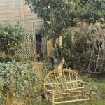 A rustic wooden bench sits beneath a tree in a garden, next to a wooden fence and a trellis panel, surrounded by overgrown plants and grass.
