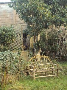 A rustic wooden bench sits beneath a tree in a garden, next to a wooden fence and a trellis panel, surrounded by overgrown plants and grass.