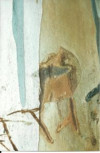 Close-up of a tree trunk showing natural peeling bark and coloured markings, with a brown patch resembling an abstract animal shape.