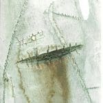 Close-up of pale tree bark with brown scar-like markings and several stitch-like lines across the surface.