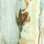 A close-up of a textured surface with peeling paint, exposing layers of green, beige, and brown, and intersecting lines resembling scratches or marks.