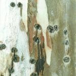 Close-up of a tree bark surface showing clusters of small, round holes and patches of peeling outer bark in various shades of brown, grey, and white.