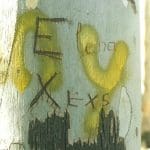 Tree bark with peeling patches, yellow spray paint, and various carvings including the words "Ex Exs" and "Lana.