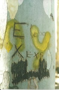Tree bark with peeling patches, yellow spray paint, and various carvings including the words "Ex Exs" and "Lana.