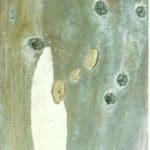 Close-up of a weathered wooden surface with patches of peeling paint and multiple round holes.