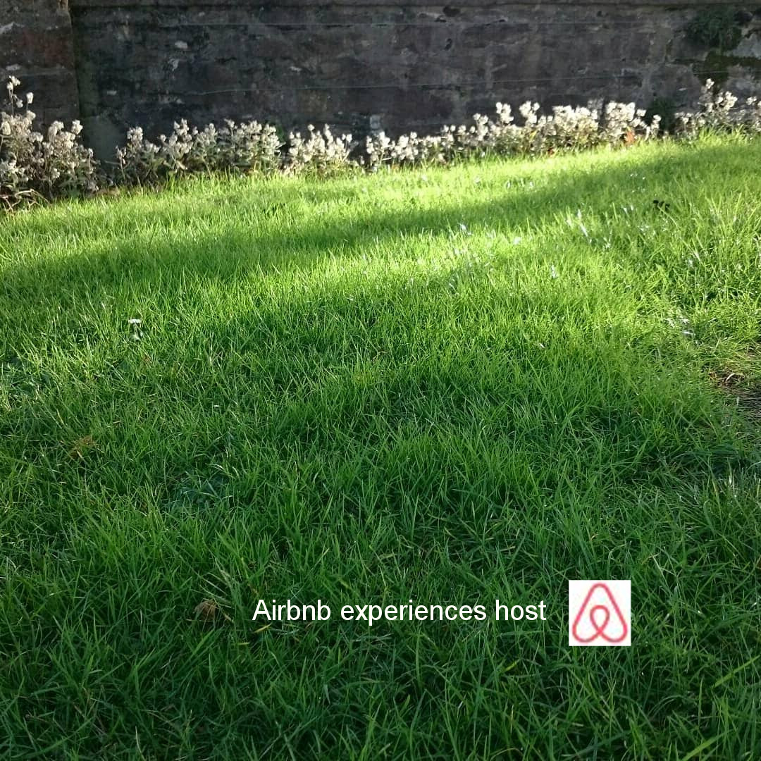 A sunlit grassy lawn with a flower bed along a stone wall in the background. Text reads "Airbnb experiences host" with the Airbnb logo.