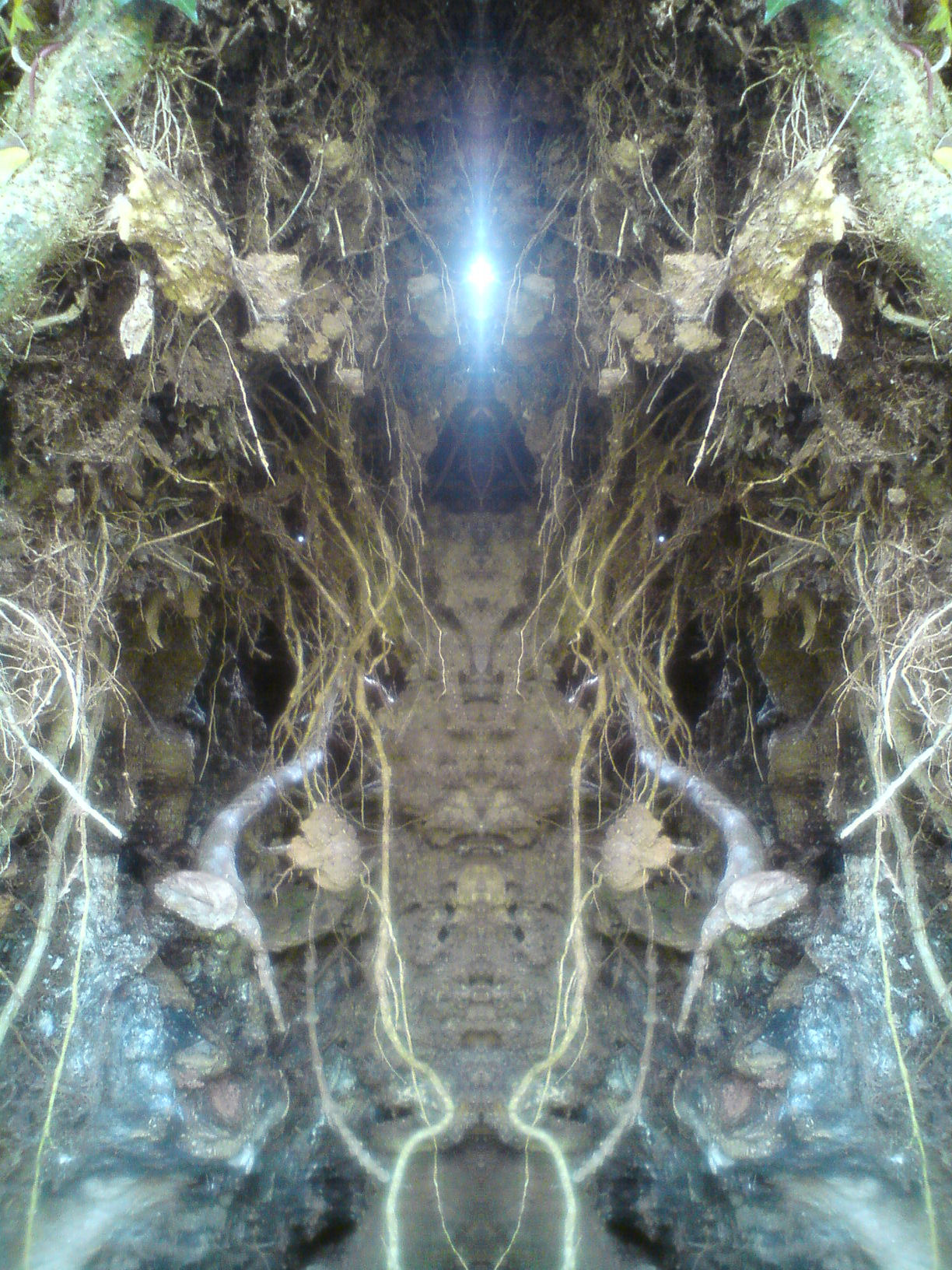 Close-up of tangled tree roots and soil with a bright light at the centre, creating a symmetrical, mirrored effect.