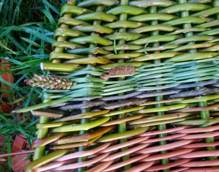 A woven mat with green and brown reeds, partially covered by green grasses and two plant seed heads, lies on grass outdoors.