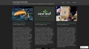 Screenshot of a website homepage featuring three columns with articles titled “Fishscape California,” “Energy Saver: Leaf your life,” and “Making outdoor goods by hand,” along with images and text previews.
